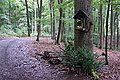 DSC08079 - Bernhard Saalfeld