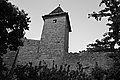 L1001407 - Bernhard Saalfeld