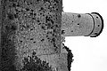 L1001408 - Bernhard Saalfeld