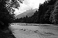 L1001483 - Bernhard Saalfeld