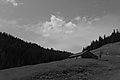 L1001540 - Bernhard Saalfeld