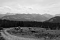 L1001544 - Bernhard Saalfeld