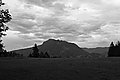 L1001592 - Bernhard Saalfeld