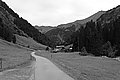 L1001683 - Bernhard Saalfeld