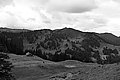L1001718 - Bernhard Saalfeld
