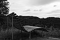 L1001740 - Bernhard Saalfeld