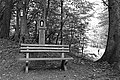L1001775 - Bernhard Saalfeld