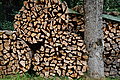 DSC03293 - Bernhard Saalfeld