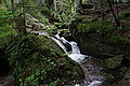 DSC03302 - Bernhard Saalfeld