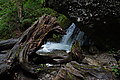 DSC03304 - Bernhard Saalfeld
