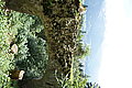 DSC03382 - Bernhard Saalfeld