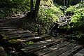 DSC03520 - Bernhard Saalfeld