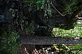 DSC03538 - Bernhard Saalfeld