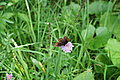 DSC03562 - Bernhard Saalfeld