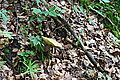 DSC03584 - Bernhard Saalfeld