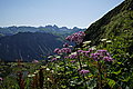 DSC03632 - Bernhard Saalfeld
