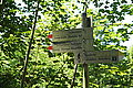 DSC03709 - Bernhard Saalfeld