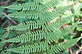 DSC03719 - Bernhard Saalfeld