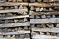 DSC03723 - Bernhard Saalfeld