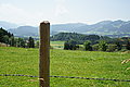 DSC03727 - Bernhard Saalfeld