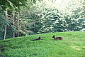 DSC03728 - Bernhard Saalfeld