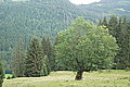 DSC03794 - Bernhard Saalfeld