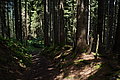 DSC03797 - Bernhard Saalfeld