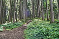 DSC03807 - Bernhard Saalfeld