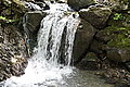 DSC03922 - Bernhard Saalfeld