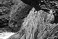 L1003118 - Bernhard Saalfeld