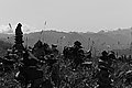 L1003229 - Bernhard Saalfeld