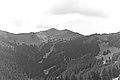 L1003271 - Bernhard Saalfeld