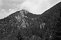 L1003298 - Bernhard Saalfeld