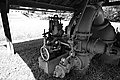 L1003354 - Bernhard Saalfeld