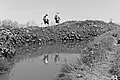 L1003374 - Bernhard Saalfeld