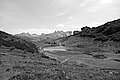 L1003392 - Bernhard Saalfeld