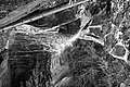 L1003401 - Bernhard Saalfeld