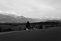L1003471 - Bernhard Saalfeld