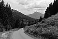 L1003481 - Bernhard Saalfeld