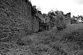 L1003690 - Bernhard Saalfeld
