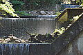 DSC06460 - Bernhard Saalfeld