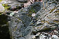 DSC06472 - Bernhard Saalfeld