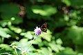 DSC06484 - Bernhard Saalfeld
