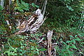 DSC06488 - Bernhard Saalfeld