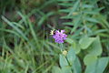 DSC06490 - Bernhard Saalfeld