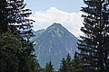 DSC06503 - Bernhard Saalfeld
