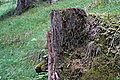 DSC06507 - Bernhard Saalfeld