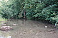 DSC06522 - Bernhard Saalfeld