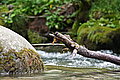 DSC06541 - Bernhard Saalfeld