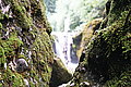 DSC06550 - Bernhard Saalfeld